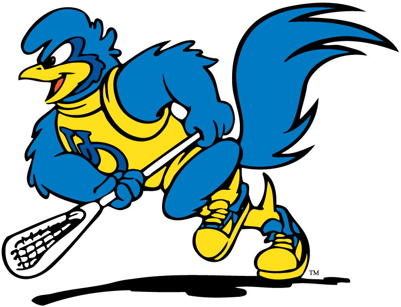 delaware blue hens 1993-pres mascot Logo v4 iron on transfers for T-shirts